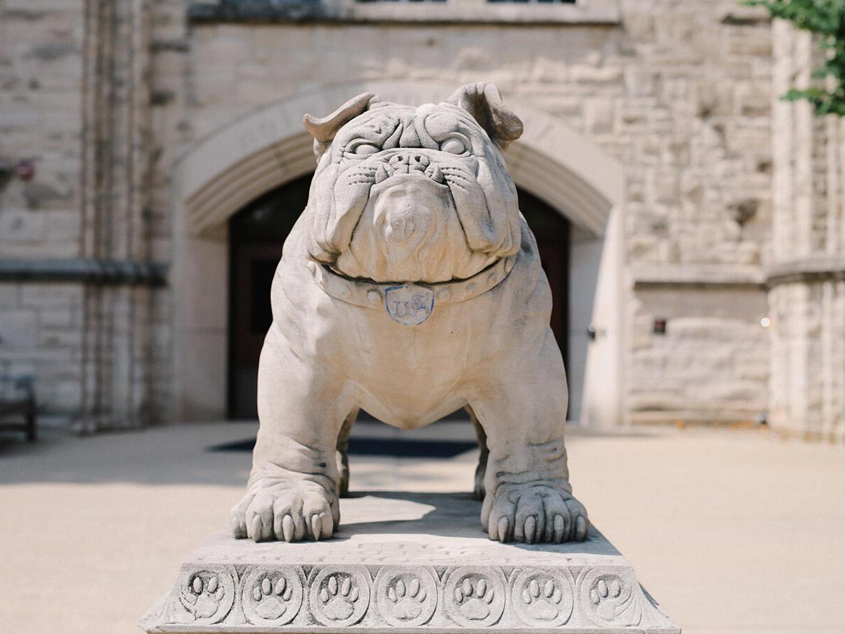 皇冠投注 bulldog statue on campus